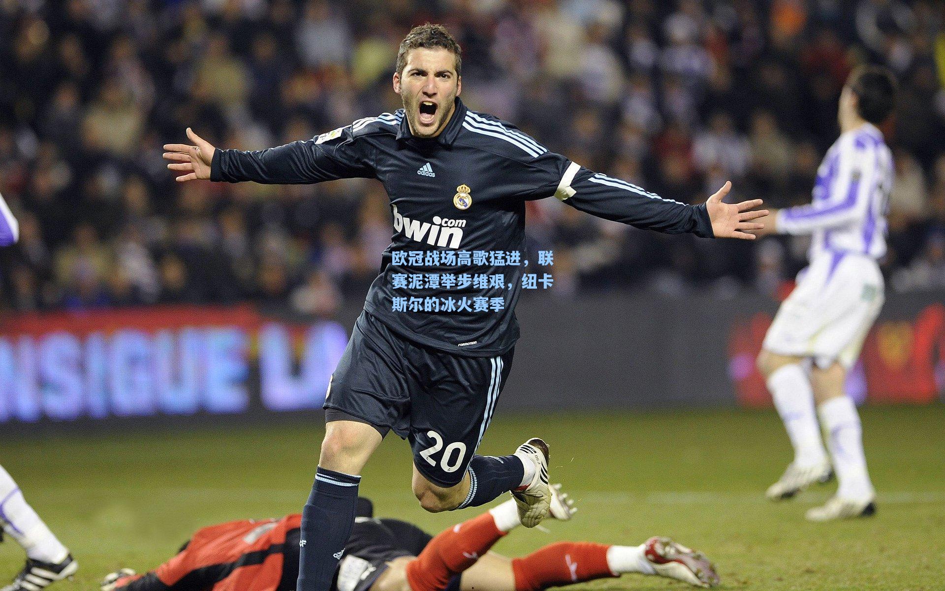 欧冠战场高歌猛进，联赛泥潭举步维艰，纽卡斯尔的冰火赛季