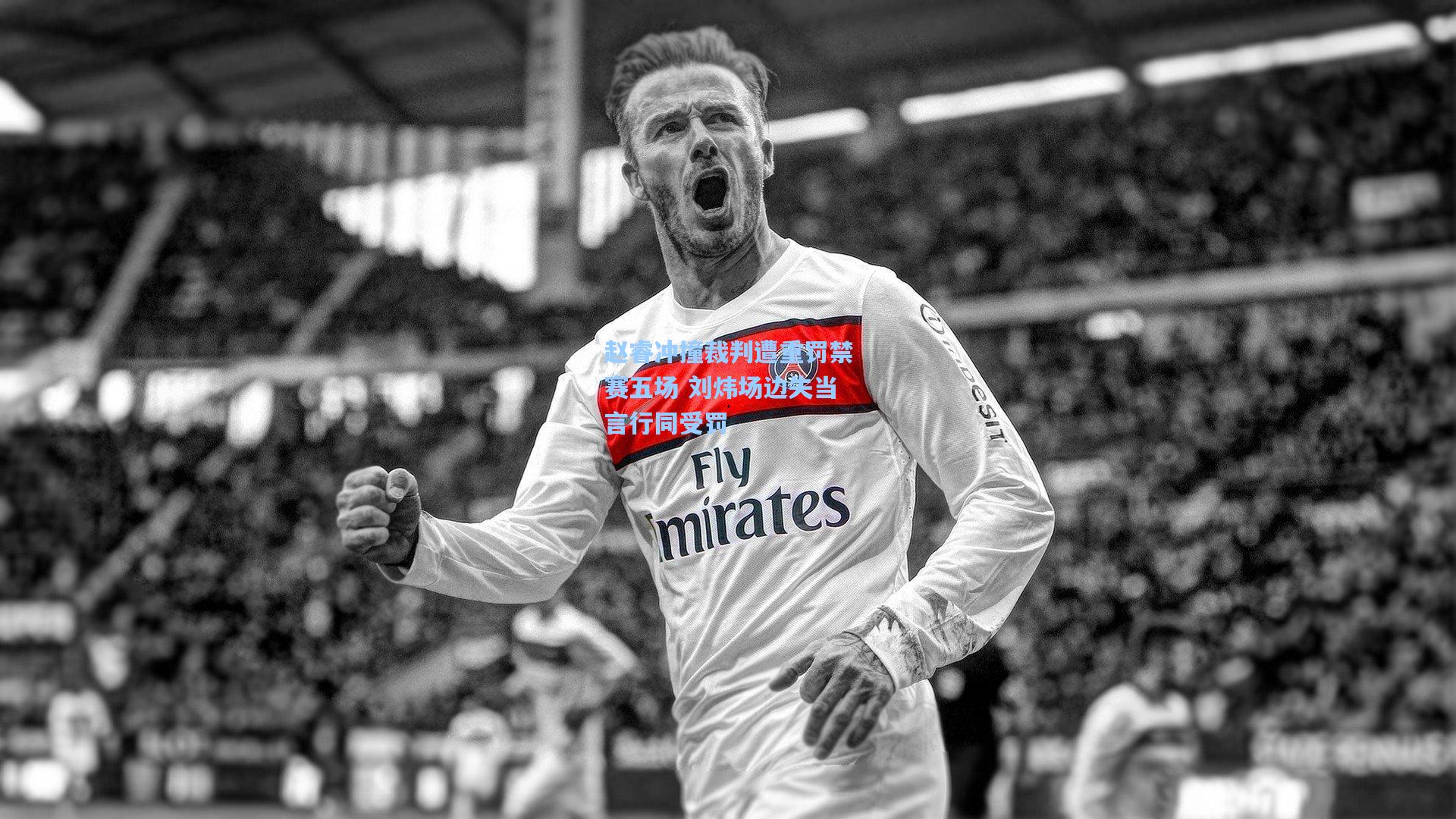 赵睿冲撞裁判遭重罚禁赛五场 刘炜场边失当言行同受罚